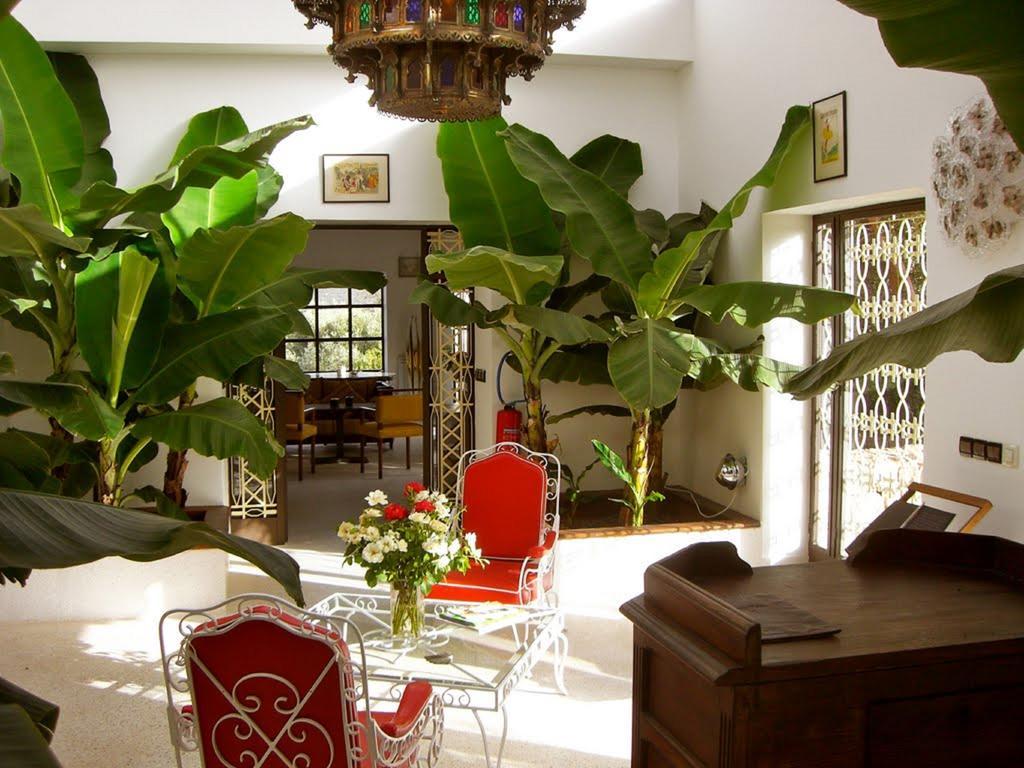 Domaine Malika - Adults Only Hotel Ouirgane Exterior photo